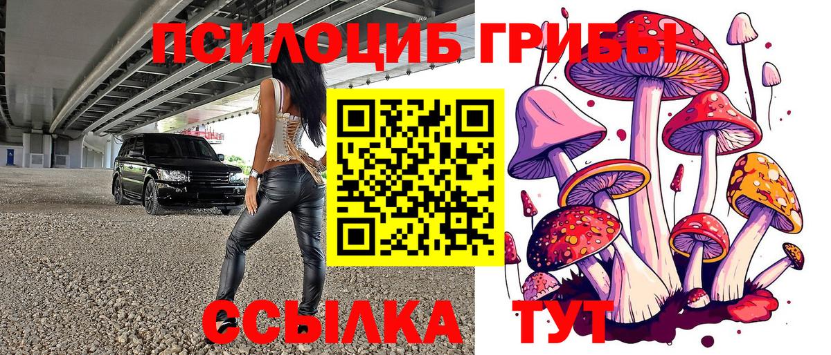 Галлюциногенные грибы GOLDEN TEACHER Холмск